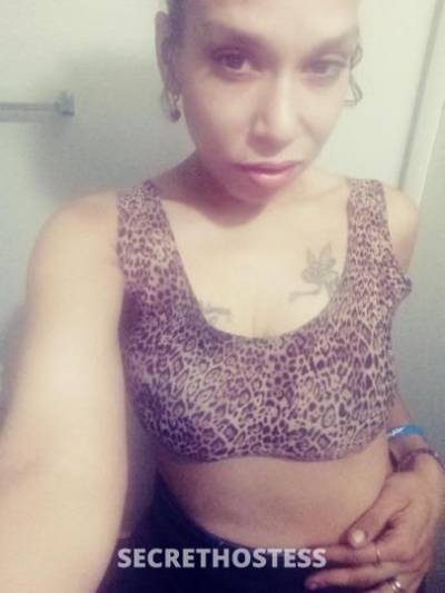 Bianca 32Yrs Old Escort Columbus OH Image - 3