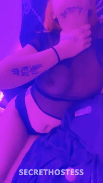 CaitieCakes 28Yrs Old Escort Jacksonville FL Image - 7