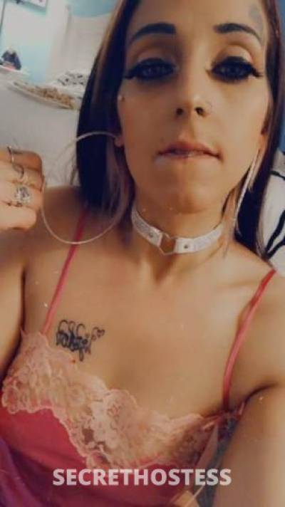 CaitieCakes 28Yrs Old Escort Jacksonville FL Image - 8