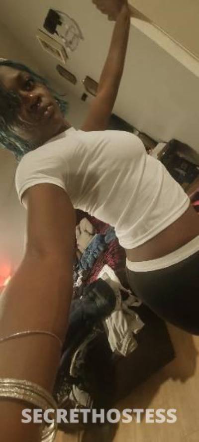 CeeCee 24Yrs Old Escort Hudson Valley NY Image - 1