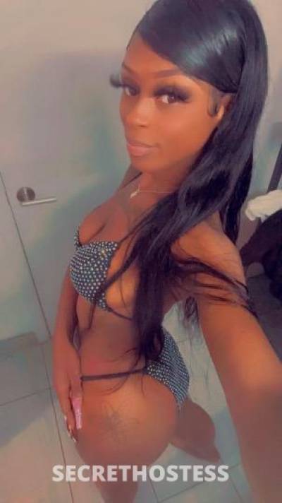 Chocolate 24Yrs Old Escort Fresno CA Image - 2