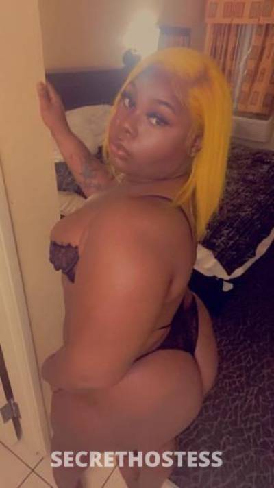 Chocolatebaby 25Yrs Old Escort Saint Louis MO Image - 4