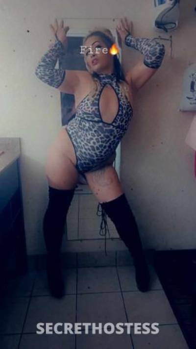 Cookie 30Yrs Old Escort 165CM Tall Jacksonville FL Image - 3