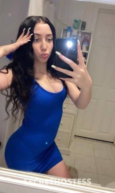 Crystal 21Yrs Old Escort Miami FL Image - 6