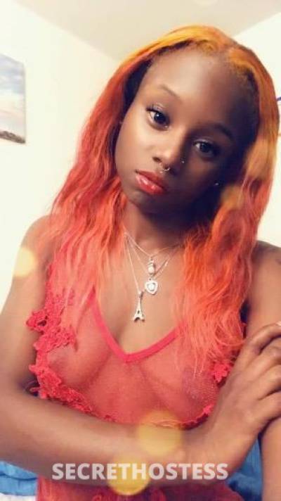 Dasiee🧡 28Yrs Old Escort Concord CA Image - 0