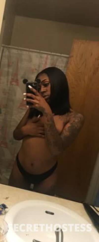 Dream 24Yrs Old Escort Dallas TX Image - 1