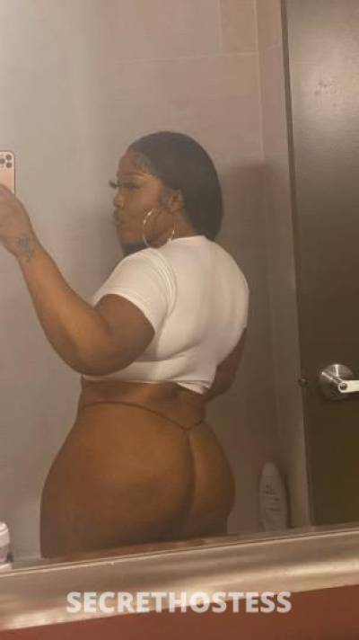 No aa . chocolate gabby in Knoxville TN
