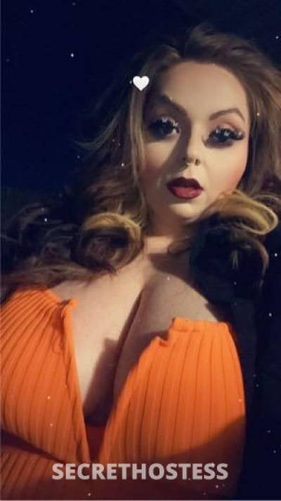 Ginger(Gigi) 28Yrs Old Escort Sacramento CA Image - 0