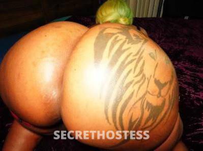 HoneyD 26Yrs Old Escort Killeen TX Image - 2