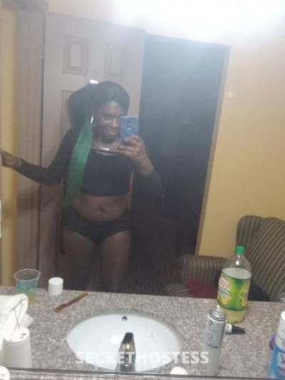 Hotchocolate 29Yrs Old Escort Augusta GA Image - 6