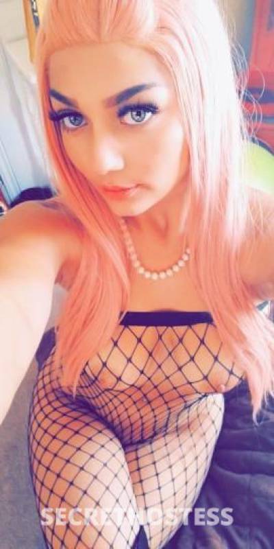 KIMTHEBARBIE😻 24Yrs Old Escort San Marcos TX Image - 3