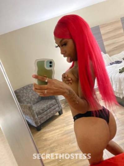 Kream 23Yrs Old Escort Jacksonville FL Image - 1