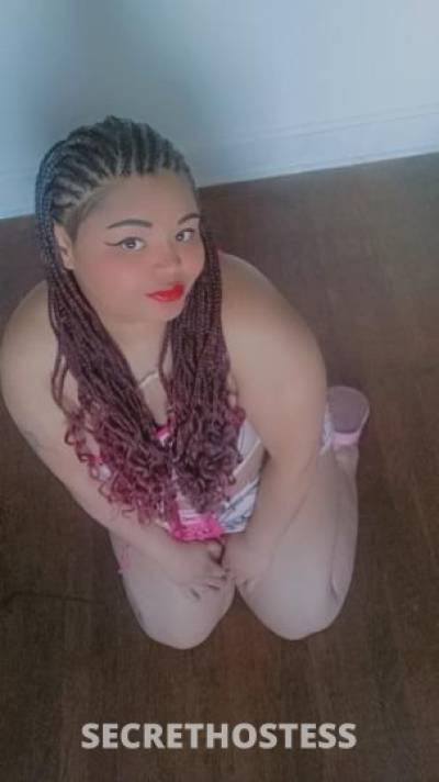 Kreamy 22Yrs Old Escort Westchester NY Image - 3