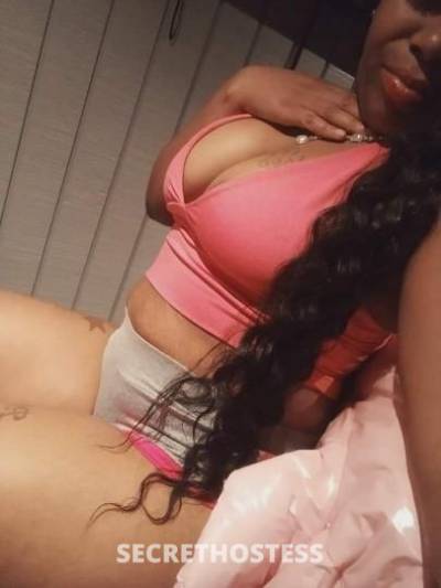 LEXI 28Yrs Old Escort Baltimore MD Image - 6