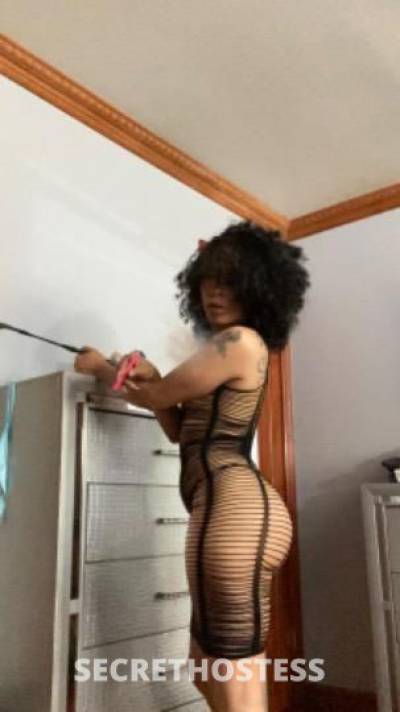 Luna 27Yrs Old Escort Hudson Valley NY Image - 1