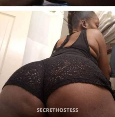 Phoenix 33Yrs Old Escort Baltimore MD Image - 0