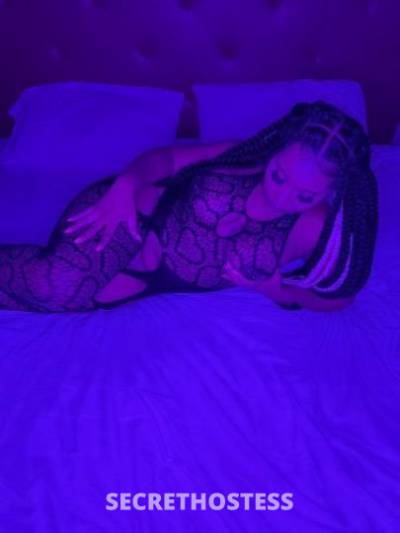 Rose🌹 26Yrs Old Escort Los Angeles CA Image - 0