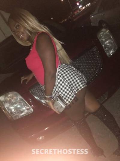 Star 23Yrs Old Escort Norfolk VA Image - 3