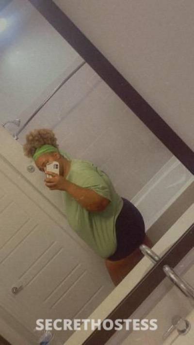 Suga 22Yrs Old Escort Fort Worth TX Image - 2