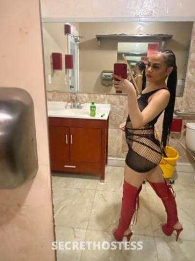 25 year old Escort in Miami FL 4'11 &amp; Freaky. in North Miami - PLEASE READ BIO