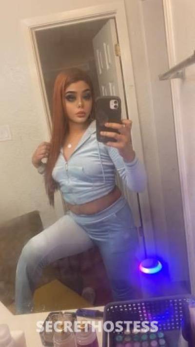 calico 25Yrs Old Escort Houston TX Image - 3