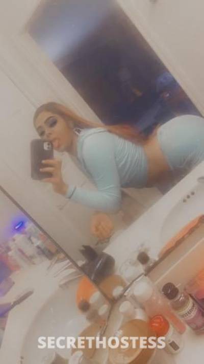 calico 25Yrs Old Escort Houston TX Image - 6