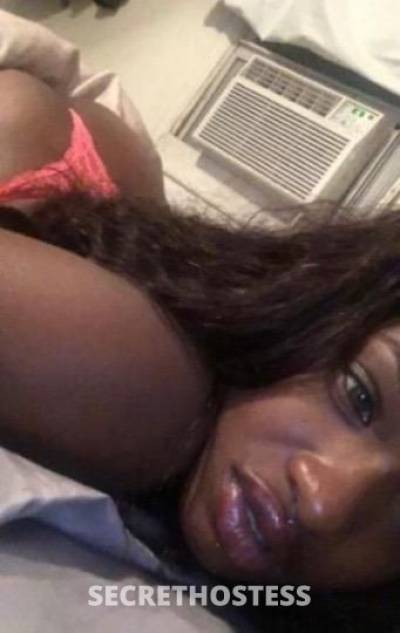 kimmy 22Yrs Old Escort Westchester NY Image - 2