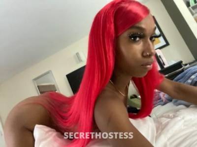 21Yrs Old Escort Dallas TX Image - 1