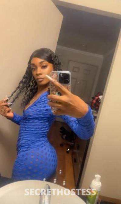 23 year old American Escort in Dallas TX your slim thick pleasure