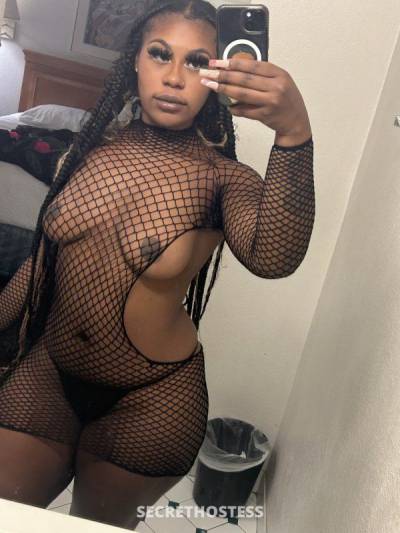 23Yrs Old Escort 167CM Tall Oakland / East Bay CA Image - 6