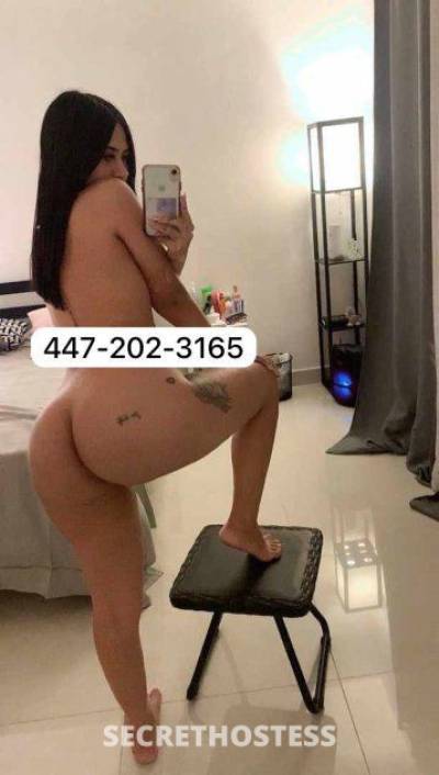 24Yrs Old Escort Detroit MI Image - 3