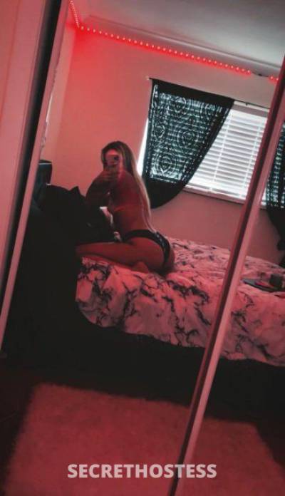 28Yrs Old Escort 167CM Tall Tampa FL Image - 2