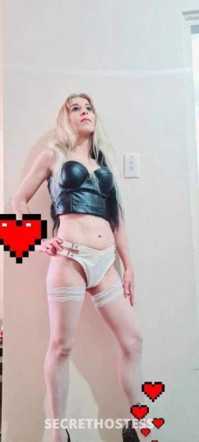 29Yrs Old Escort Size 6 Sydney Image - 0