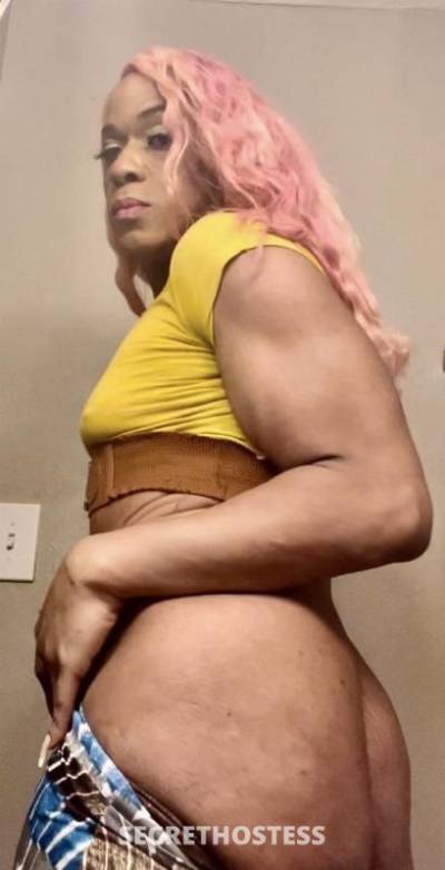 35 year old Escort in Houston TX I'm the PORN STAR TS-MILF you've been looking for