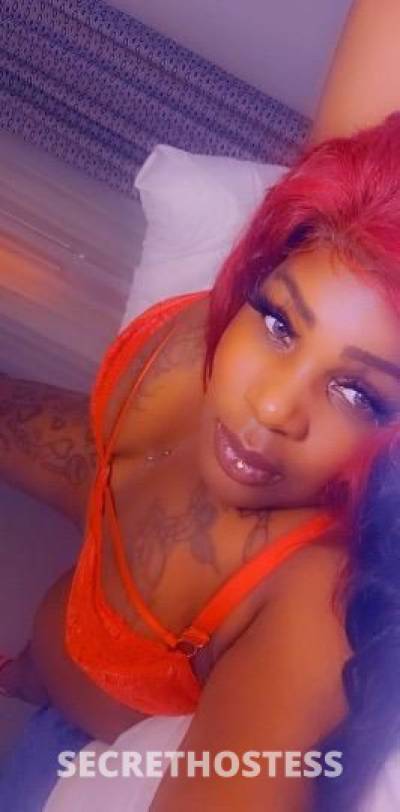 B3CKY 26Yrs Old Escort Biloxi MS Image - 6