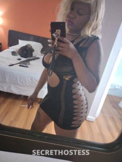 BrazilianBarbie 28Yrs Old Escort Biloxi MS Image - 2