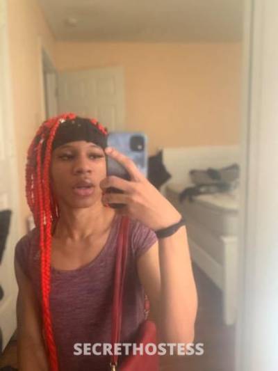 23 year old Escort in Houston TX new in town let me suck ur dick