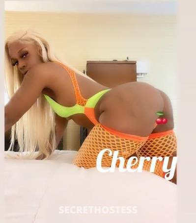 Cherry 25Yrs Old Escort Reno NV Image - 2