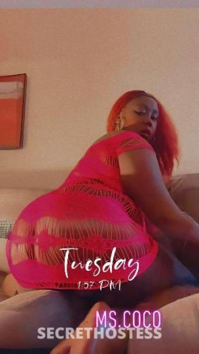 Coco 27Yrs Old Escort Washington DC Image - 3