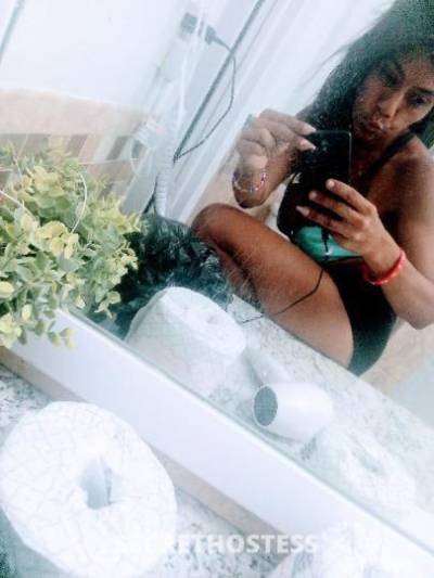 35 year old Latino Escort in West Palm Beach FL never tease BUT PLEASE