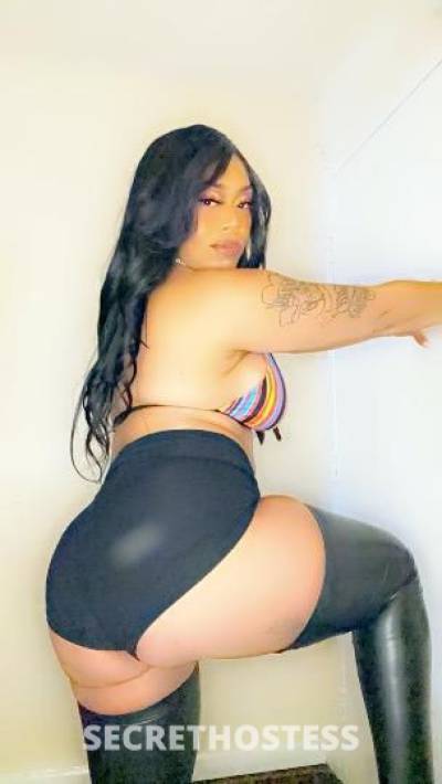 Kaycetheheaddoc 28Yrs Old Escort Concord CA Image - 6