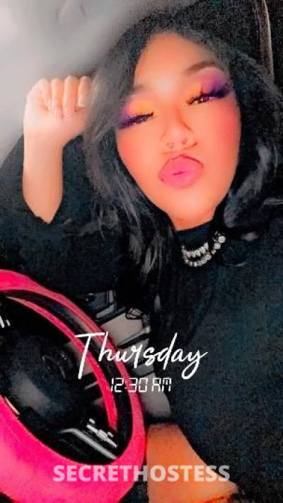 Kaycetheheaddoc 28Yrs Old Escort Concord CA Image - 7