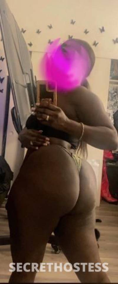 Naomi 27Yrs Old Escort Concord CA Image - 10