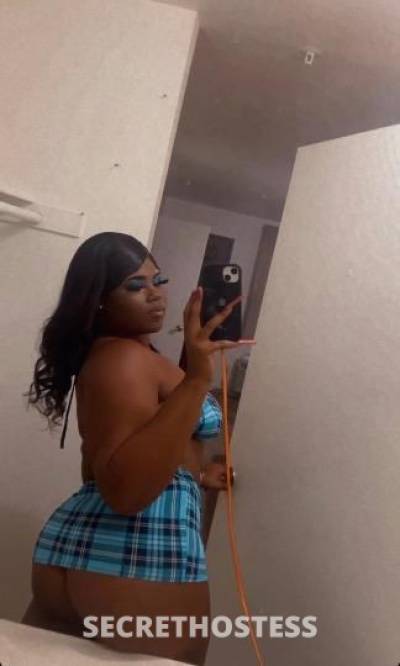 Nicki 23Yrs Old Escort Phoenix AZ Image - 2