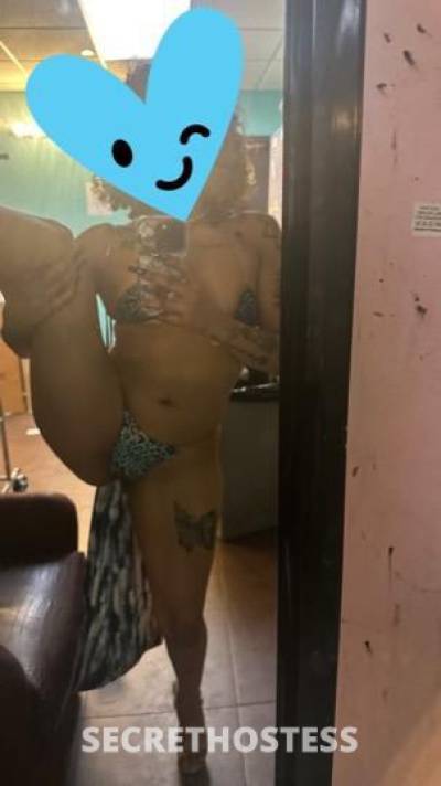 Precious 21Yrs Old Escort Bronx NY Image - 3