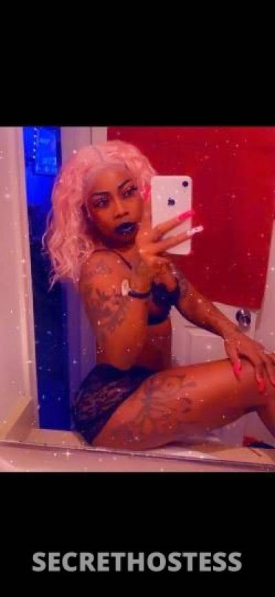 Rainbow 30Yrs Old Escort New Orleans LA Image - 0