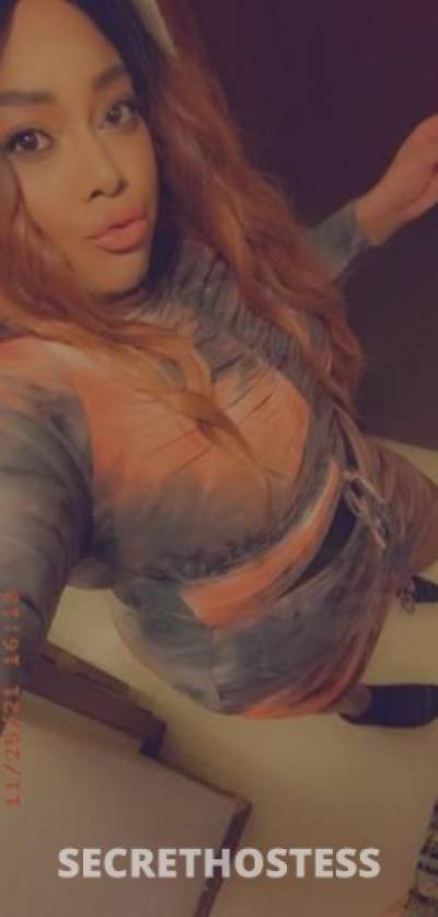 Royal 28Yrs Old Escort Chicago IL Image - 5