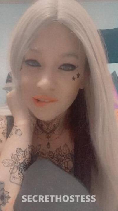 TabbyKat 34Yrs Old Escort 175CM Tall Jackson MS Image - 7