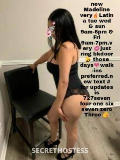 PinellasCountyPalmHarbor 28Yrs Old Escort Tampa FL Image - 2