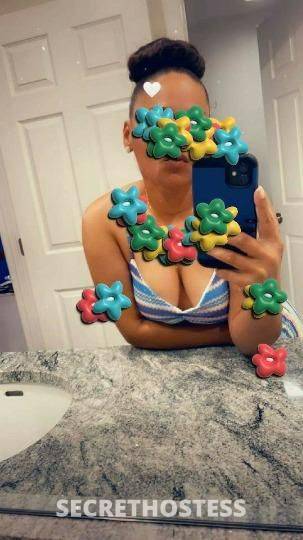 PinellasCountyPalmHarbor 28Yrs Old Escort Tampa FL Image - 10